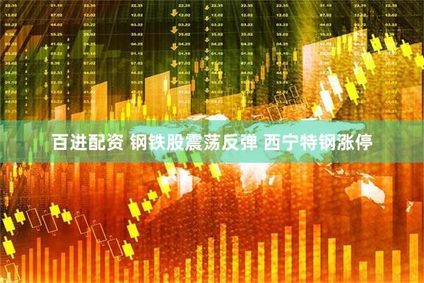 百进配资 钢铁股震荡反弹 西宁特钢涨停