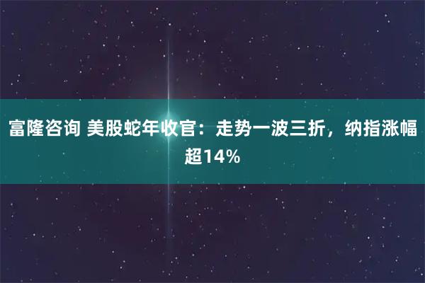 富隆咨询 美股蛇年收官：走势一波三折，纳指涨幅超14%