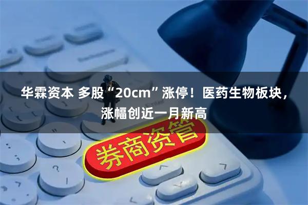 华霖资本 多股“20cm”涨停！医药生物板块，涨幅创近一月新高
