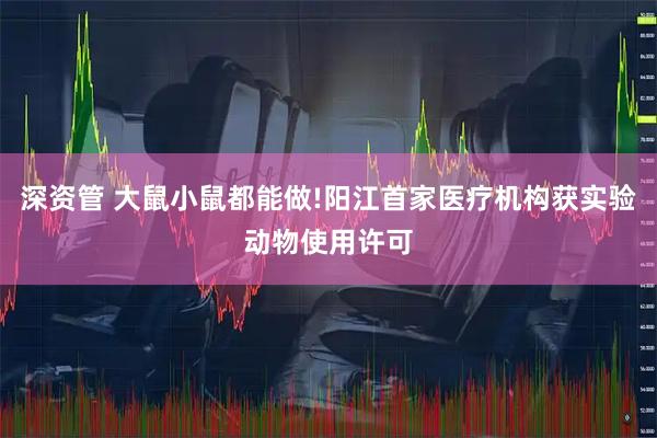 深资管 大鼠小鼠都能做!阳江首家医疗机构获实验动物使用许可
