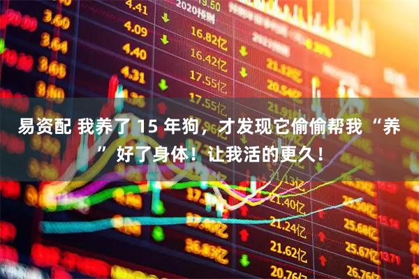 易资配 我养了 15 年狗，才发现它偷偷帮我 “养” 好了身体！让我活的更久！