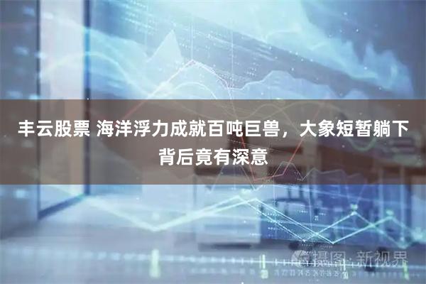 丰云股票 海洋浮力成就百吨巨兽，大象短暂躺下背后竟有深意